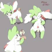 Cute little Shaymin [Itameshi]