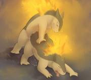 Typhlosion x Typhlosion (Harlem)