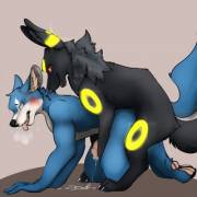 Umbreon's new friend.