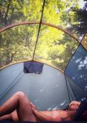 Waking up under the trees