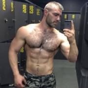 Silver fox