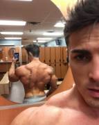 Back muscle