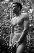 Stephane Haffner