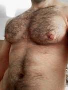 hairy pecs