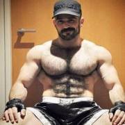 hairy abs