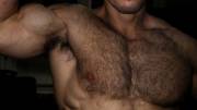 Fur