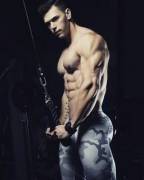 Building the body