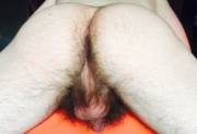 What a bush