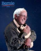 Older guy cuddling a kitty