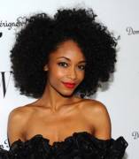 Yaya DaCosta [x-post from /r/classywomenofcolor]