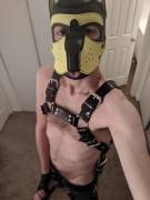 I'm kinda a horny pup