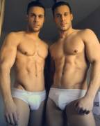 Briefs Twins