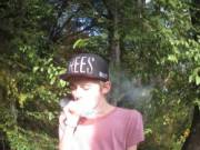 Trees twink