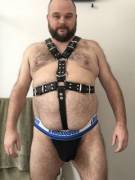 Harness and Jock Strap