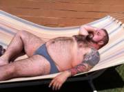 hammock bear