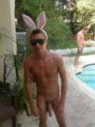 Bunny