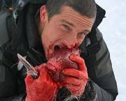 Bear Grylls Cumpendium