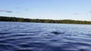 Skinny dipping in another "Pure Up North" inland lake!