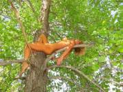 Visitors caught this wild girl sleeping peacefully on a tree branch to avoid predators