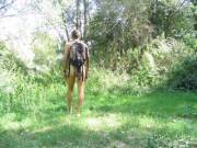 Hiking