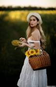 Sunflower harvest (AIC)
