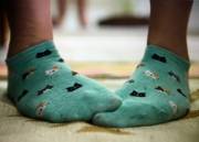 Cat Socks