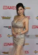 [AVN Awards 2016] Anri Okita