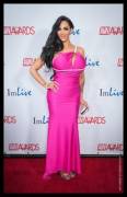 Amy Anderssen at the 2014 AVN Awards (XPost from r/BimboFetish)