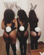 Chocolate Bunnies