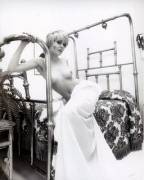 Joey Heatherton