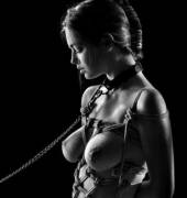 harness in rope