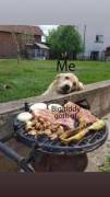 It's a hungry summer.