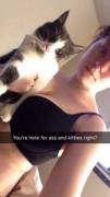 titties/kitties &lt;3