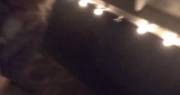 It may be less risky at night, but I definitely saw a few fishermen out on the lake when I took this video~ [GIF]