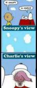 Hi Snoopy.