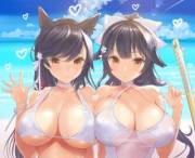 Atago &amp; Takao