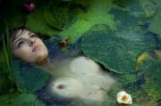 Lady in the lake