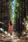 Follow the path