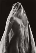 "Transparent" by Ruth Bernhard (1968)