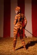 Tiger Tiger