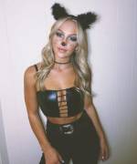 Blonde house cat