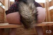 [F] No wonder Squirrel couldn't spot Fox - he was enjoying the view