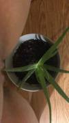 Just watering my plant (f19)