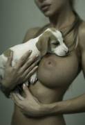 Cute Puppy