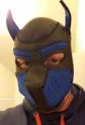 First casual hood. Owner says I look adorable.