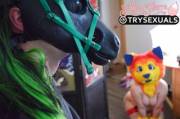 Nyara stumbled into a handsome stallion named Sebastian while exploring. It seems they got along quite well! [FM] (Nyara the Wildcat is Myself, Seb is my good friend carnalchameleon)