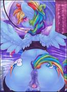 Dashie rear view by dimwitdog