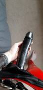What do you think, time for a bigger one? - Fox