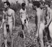 Field of Dreams