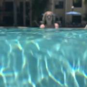 Underwater Twerk